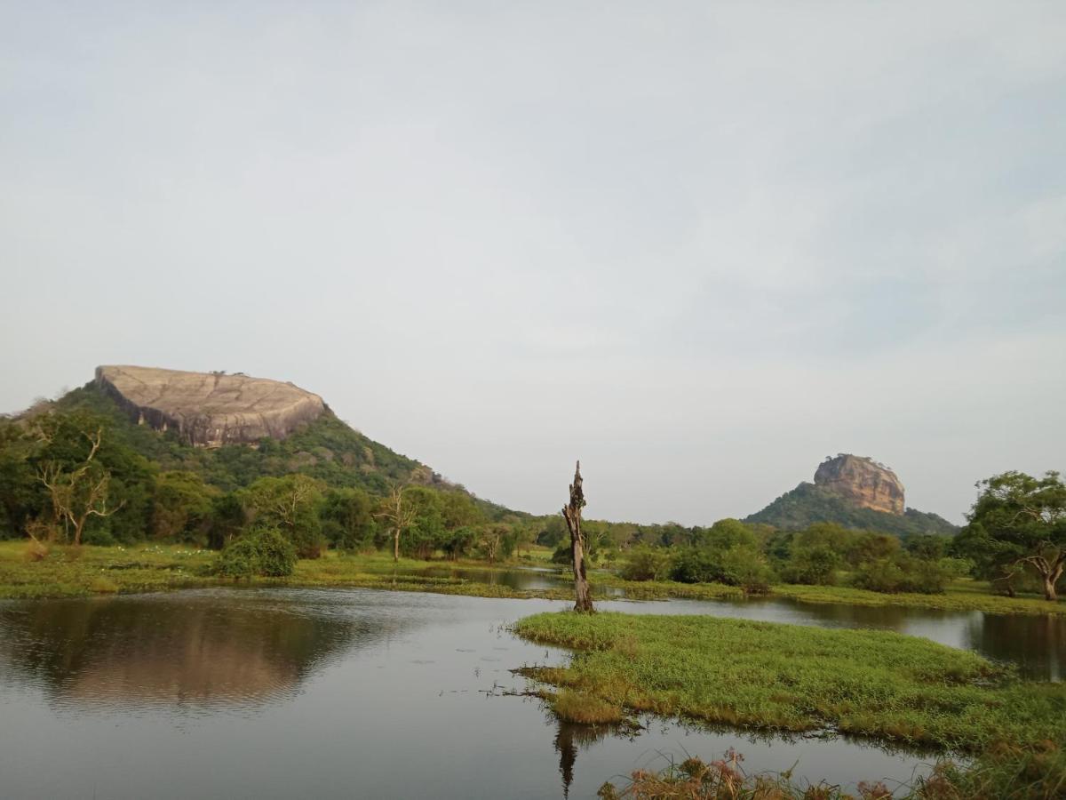 Sigiri Sandilu Homestay Сигирия Экстерьер фото